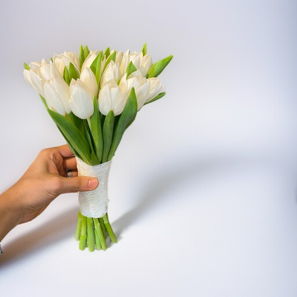 باقة توليب أبيض